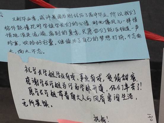 问鼎娱乐
